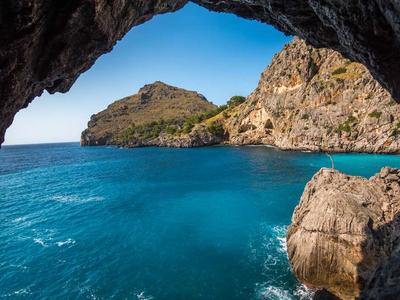 德系豪华阵营